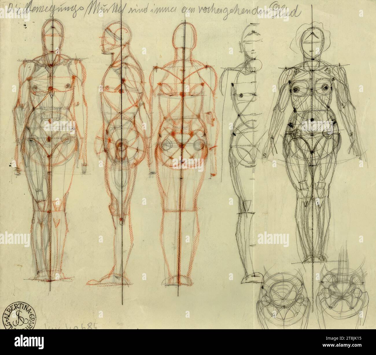 Anatomical drawing moving hi-res stock photography and images - Alamy