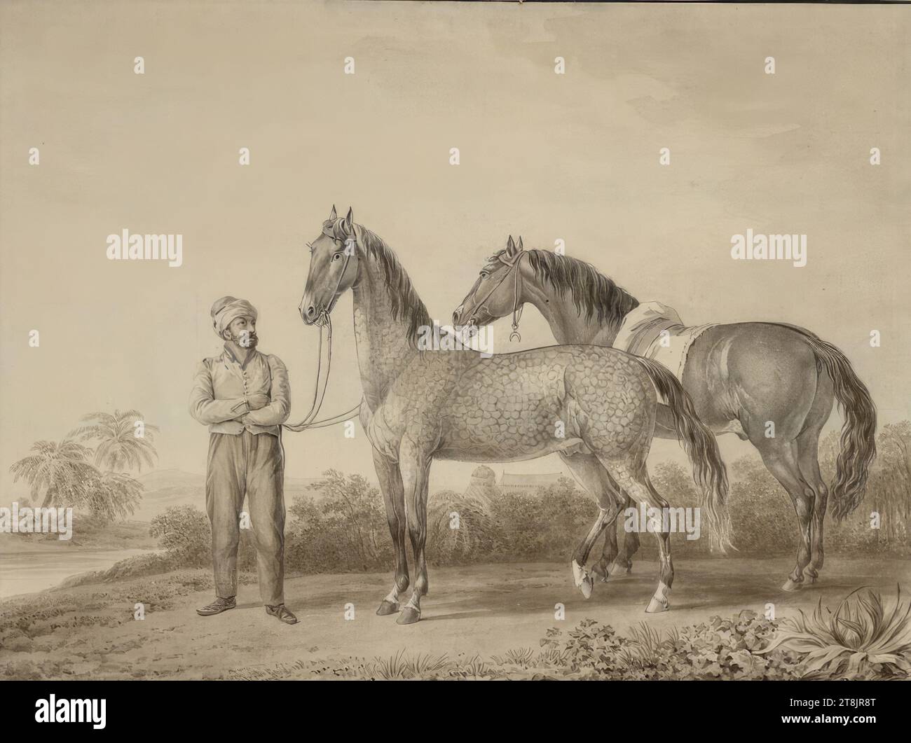 Deux chevaux Turcs, Johann Adam von Bartsch, Vienna 1757 - 1821 Vienna, drawing, pen, ink, brown wash, 29.2 x 39.2 cm, l.l. Duke Albert of Saxe-Teschen, Austria Stock Photo