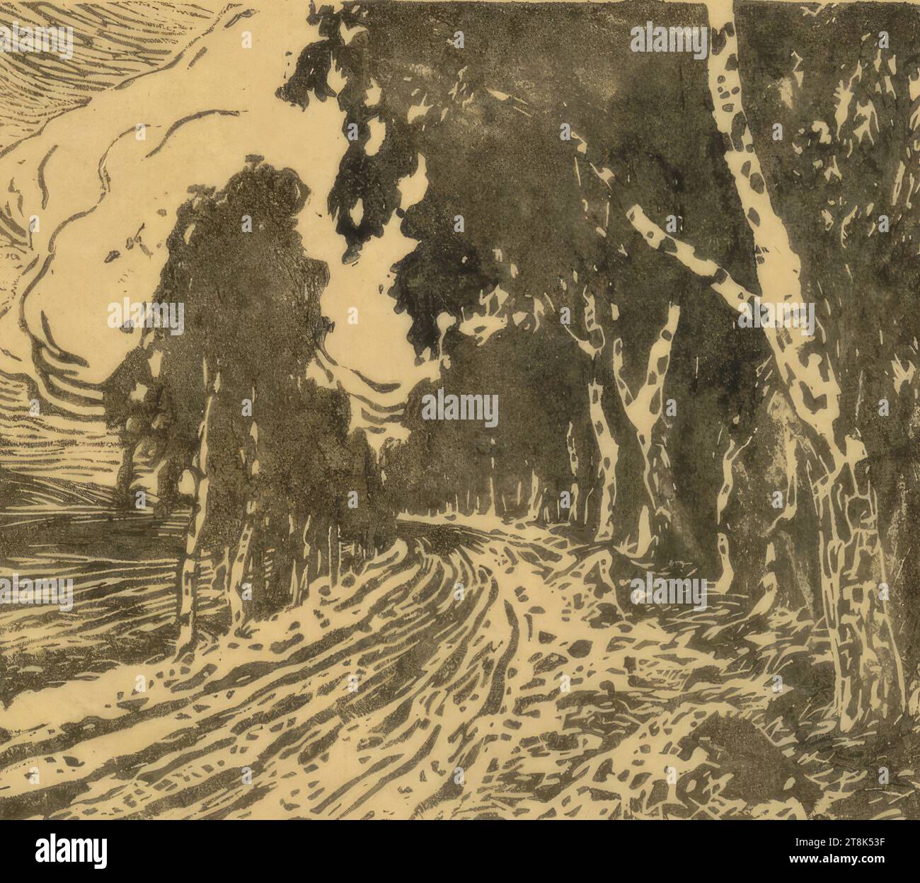 Birkenallee, Adolf Zdrazila, Poruba 1868 - 1942 Opava, 1899, print, woodcut, representation: 15.8 x 17.7 cm, l.l. '/First attempt/', pencil Stock Photo