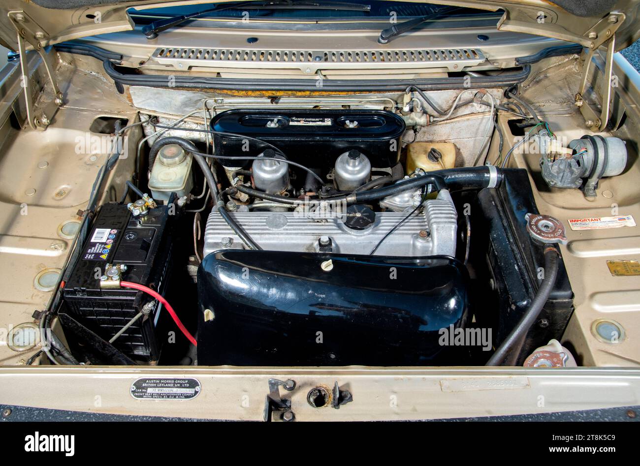 1979 austin maxi hi-res stock photography and images - Alamy
