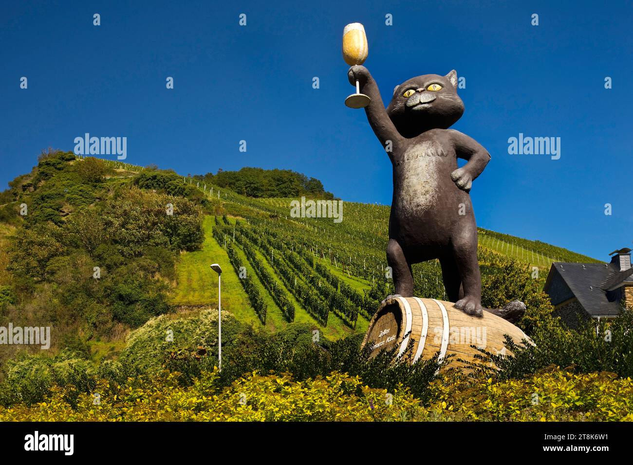 Black cat of zell hi-res stock photography and images - Alamy