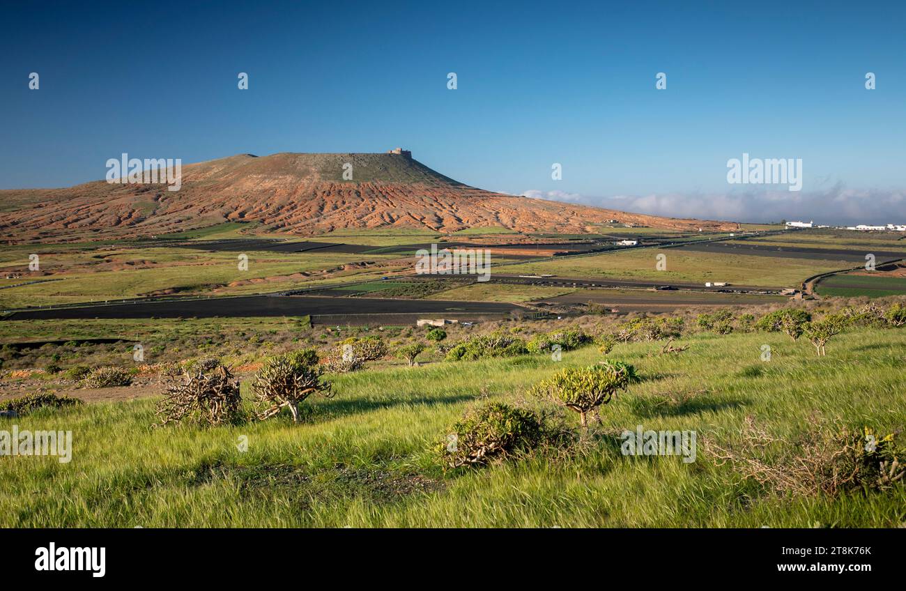 green plain after rain east of Teguise with Castillo de Santa Barbara, Canary Islands, Lanzarote, Teguise Stock Photo
