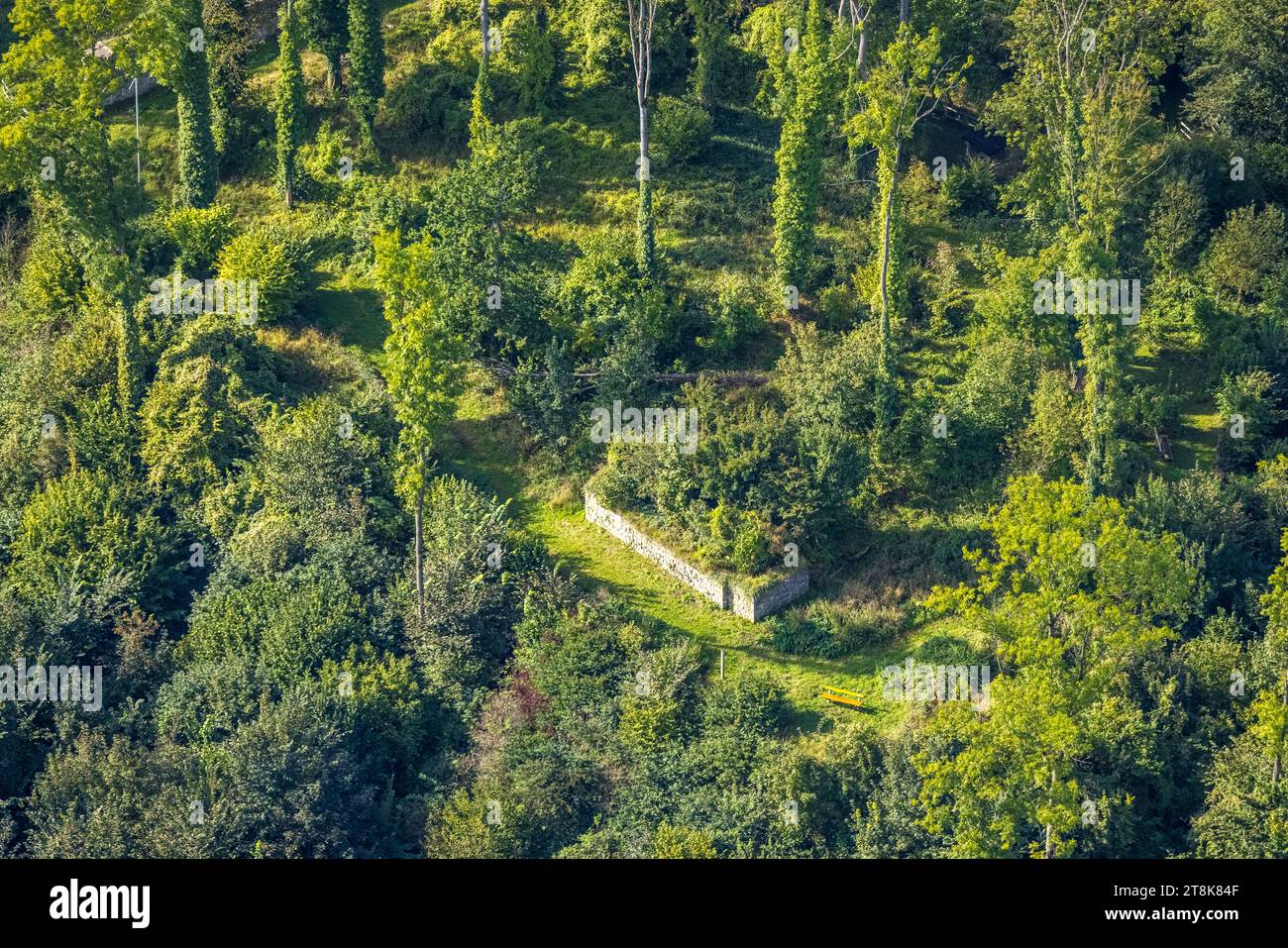 Aerial view, castle ruins forest area Rüdenburg, Arnsberg, Sauerland ...