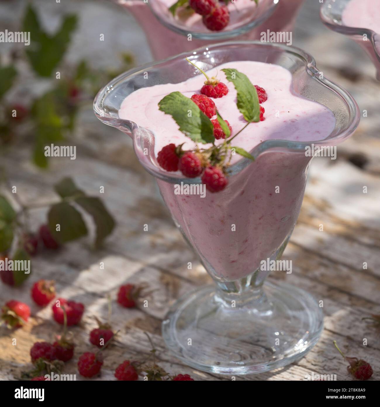 selfmade soft ice cream made of yogurt, qvark and fruits, finished ice decorated with raspberries, series picture 4/4 Stock Photo