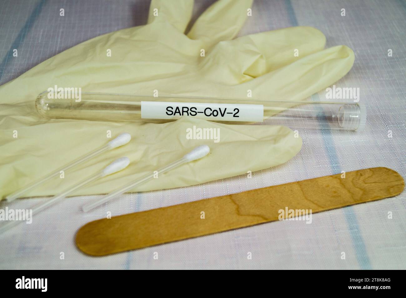 Corona test tubule, latex glove, cotton swab and spatula, 5 Stock Photo