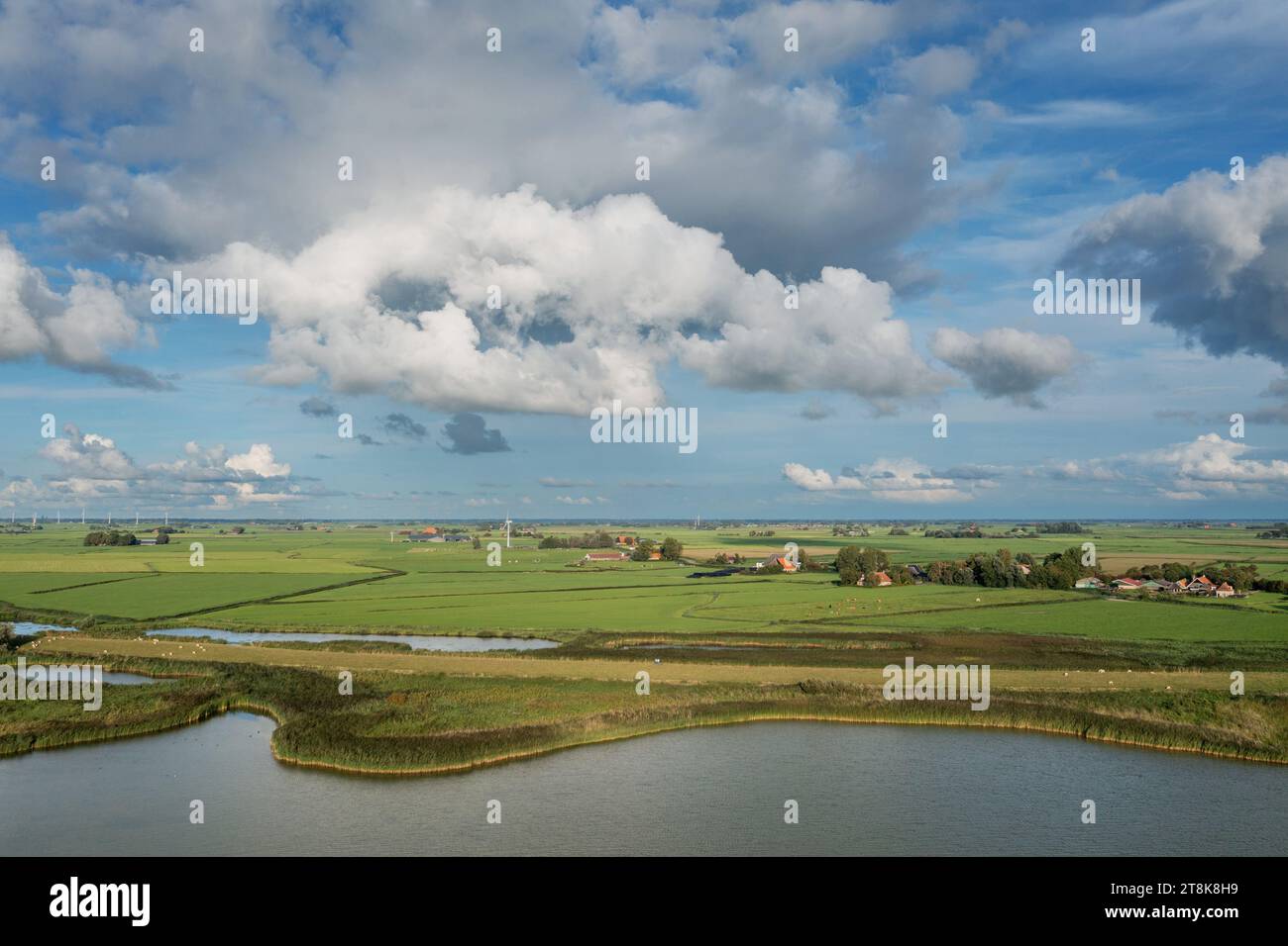 agricultural landscape and IJsselmeer coast, aerial view, Netherlands, Frisia, Gaast Stock Photo