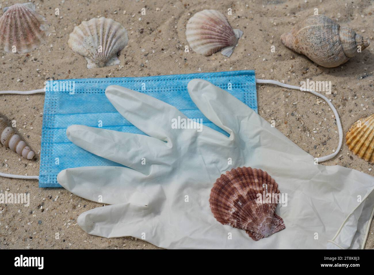 face mask and latex glove with shells and snailsshells on the beach, summer holidays under Corona conditions Stock Photo