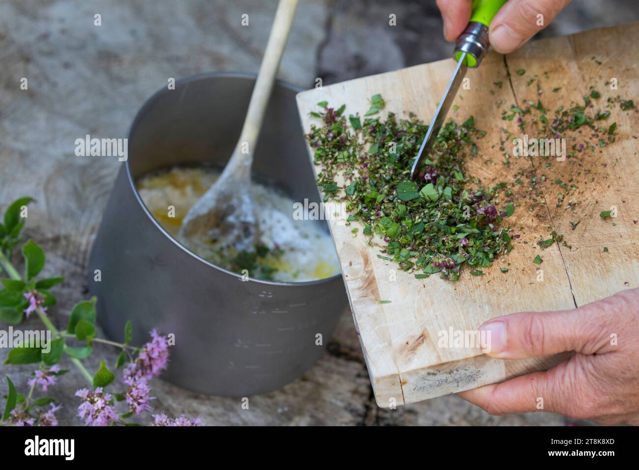 making of bannock, is baked on open fire, chopped herbs are added, series picture 4/5 Stock Photo