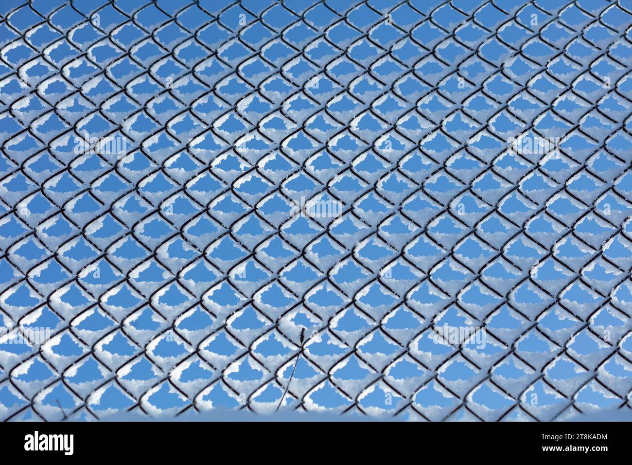 Snow on chain link fence against blue sky Stock Photo