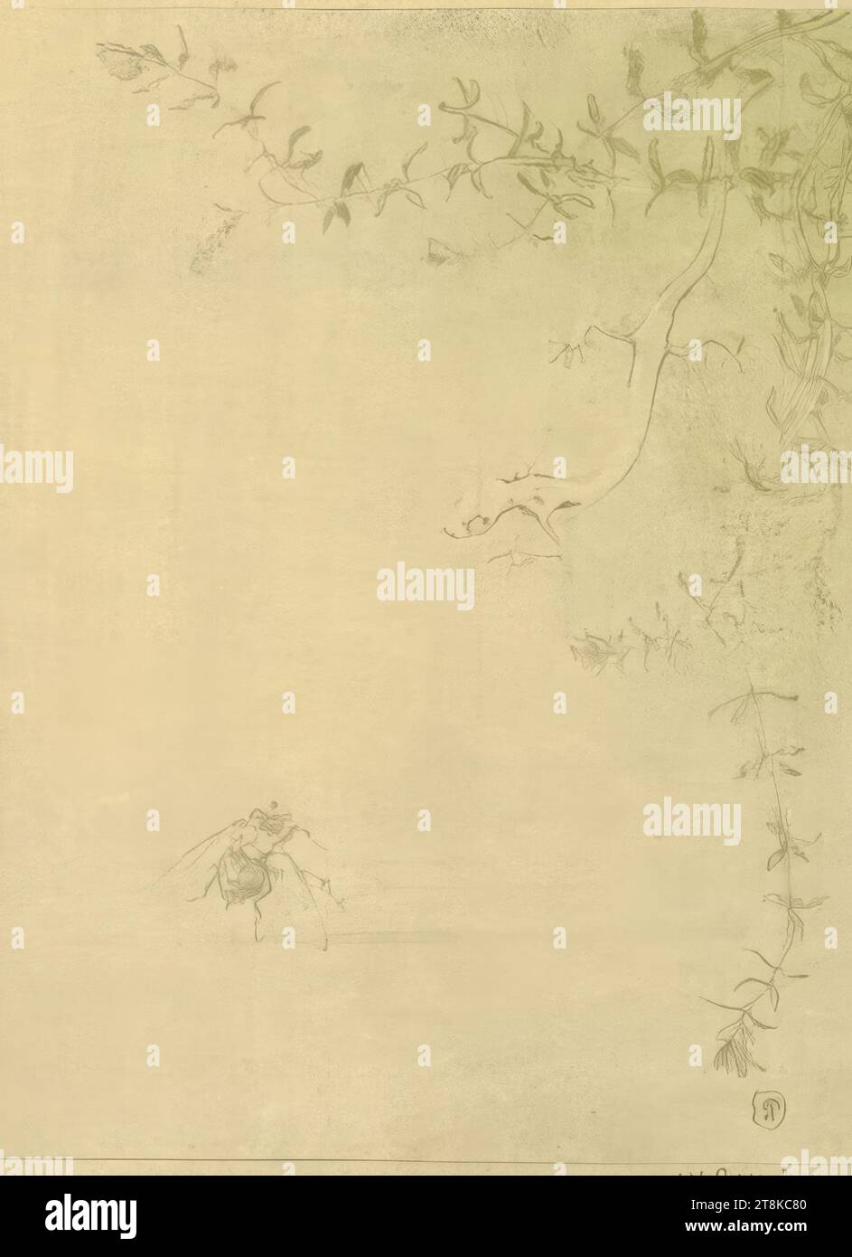 Pierre Roche Print Creeper and beetle, Pierre Roche, France, 1855 - 1922?, print, color ...
