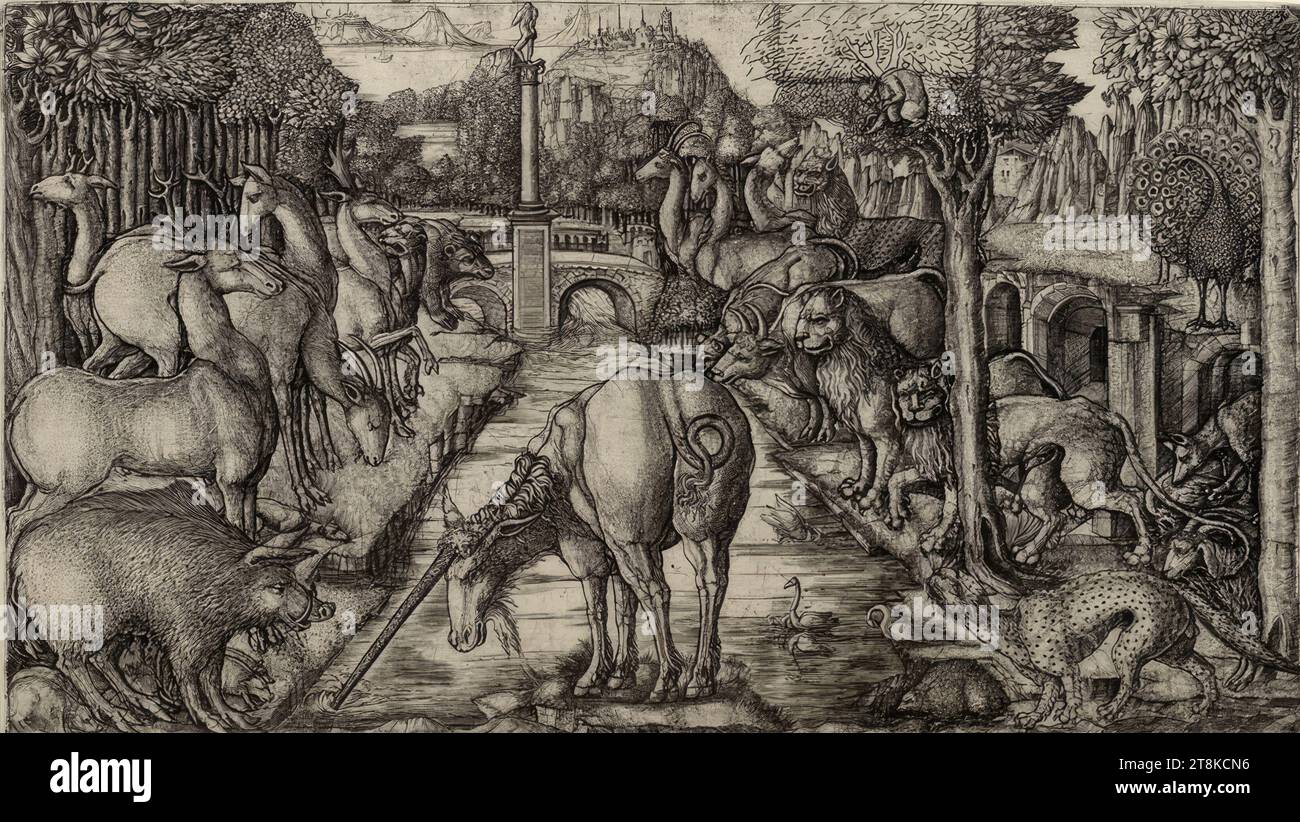 Unicorn cleans hires stock photography and images Alamy