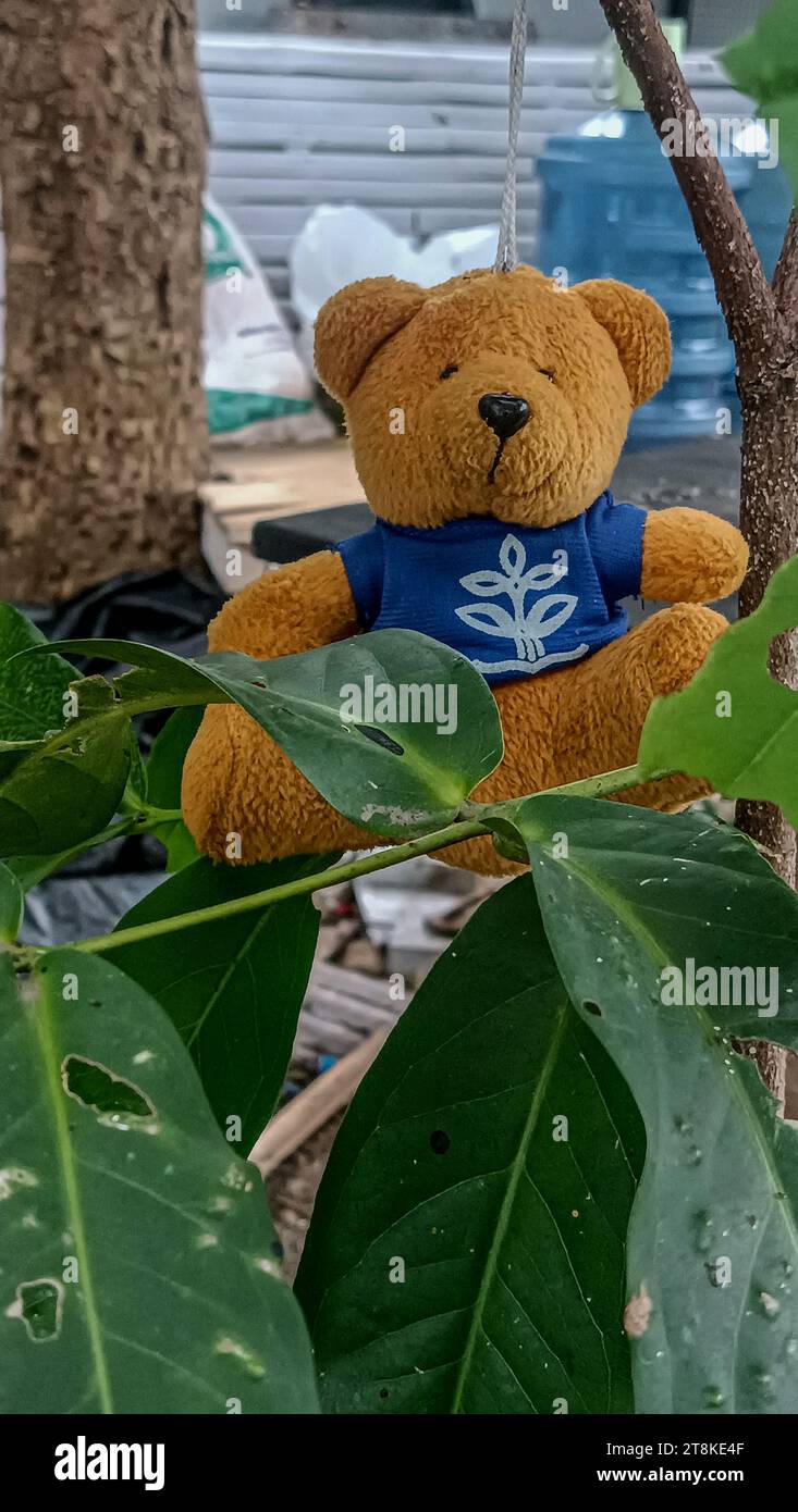 A small brown bear doll hung on a tree branch Stock Photo
