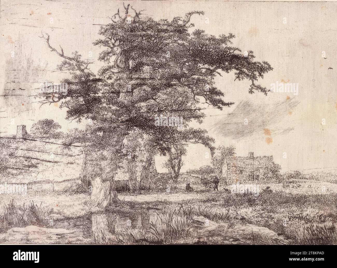 Landscape with oak trees, farmhouses and a body of water, Jacob van Ruisdael, Haarlem 1628/29 - 1682 Amsterdam, print, etching, sheet: 145 mm x 201 mm Stock Photo