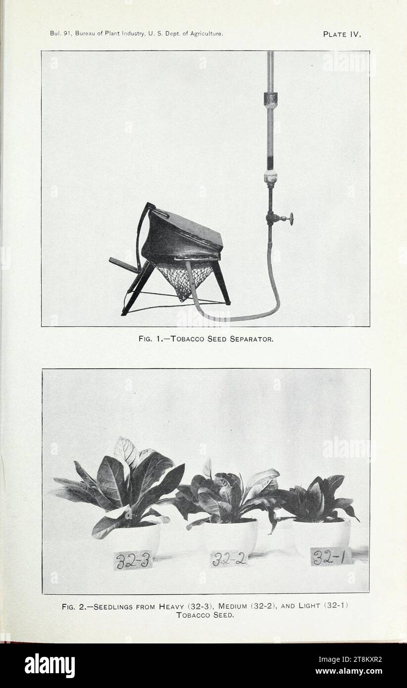 Varieties of tobacco seed distributed in 1905-6, with cultural directions Stock Photo