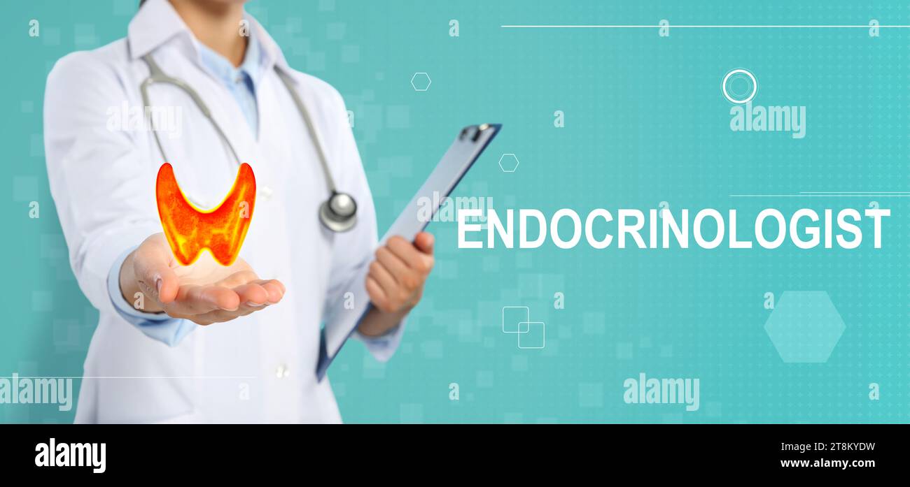 Diagnosis and treatment of thyroid diseases. Endocrinologist holding