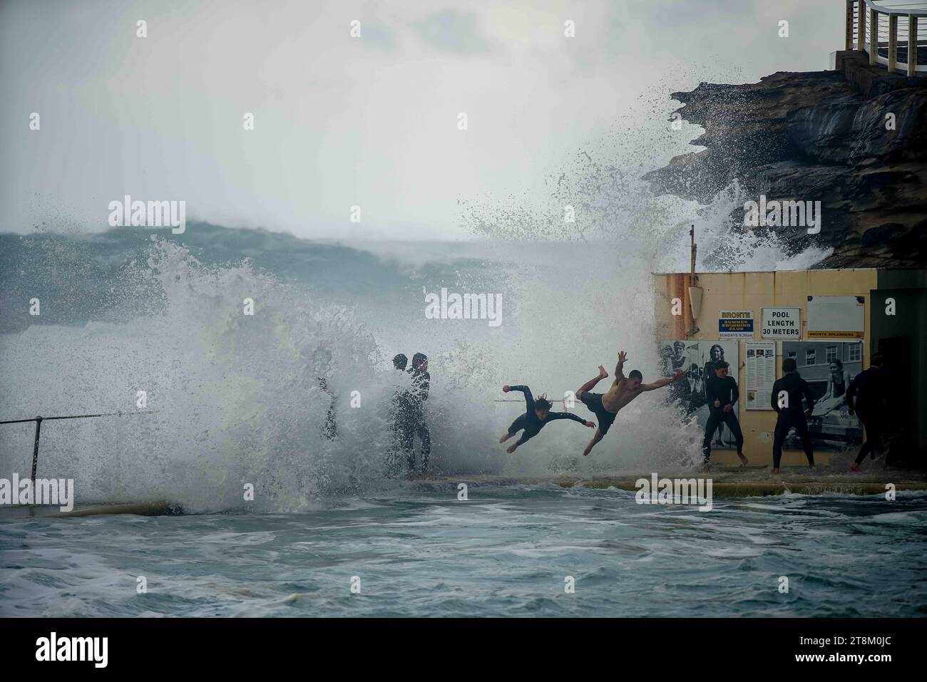 Swimmers dive into the Bronte ocean pool ahead of a large wave breaking. Stock Photo
