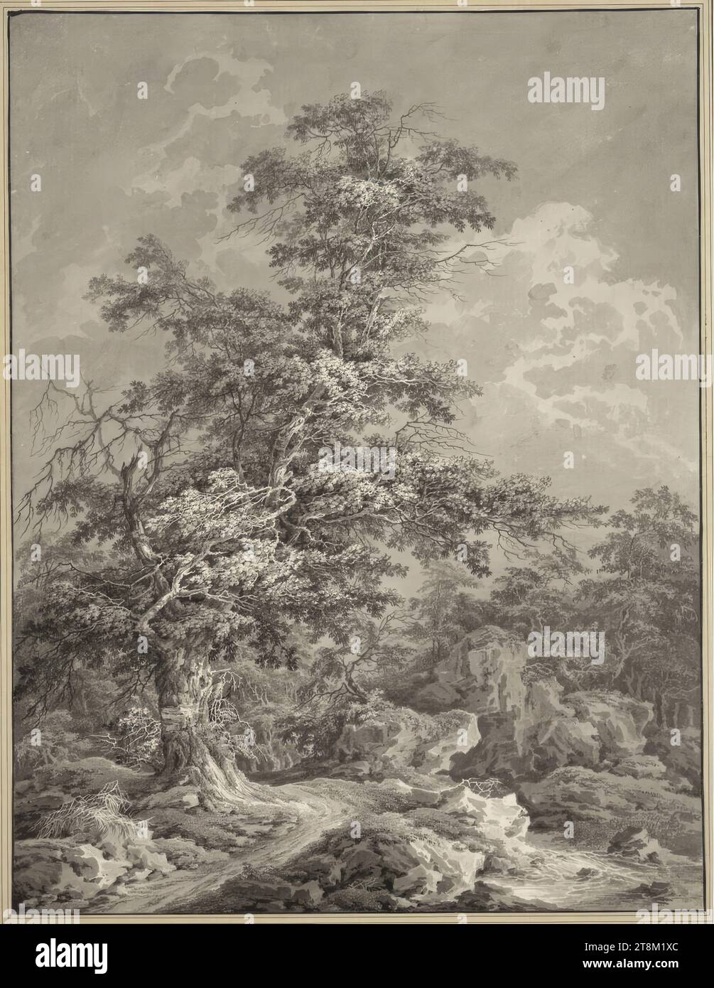 Large Tree with Dying Branches on a Forest Path Leading Along a Stream, Matthias Joseph Gail (Austrian, 1796 - 1866), Drawing, brush and gray, black framing line, 65 x 49.7 cm (25 9/16 x 19 9/16 in.), Mat: on Albert mount 'Gail Stock Photo