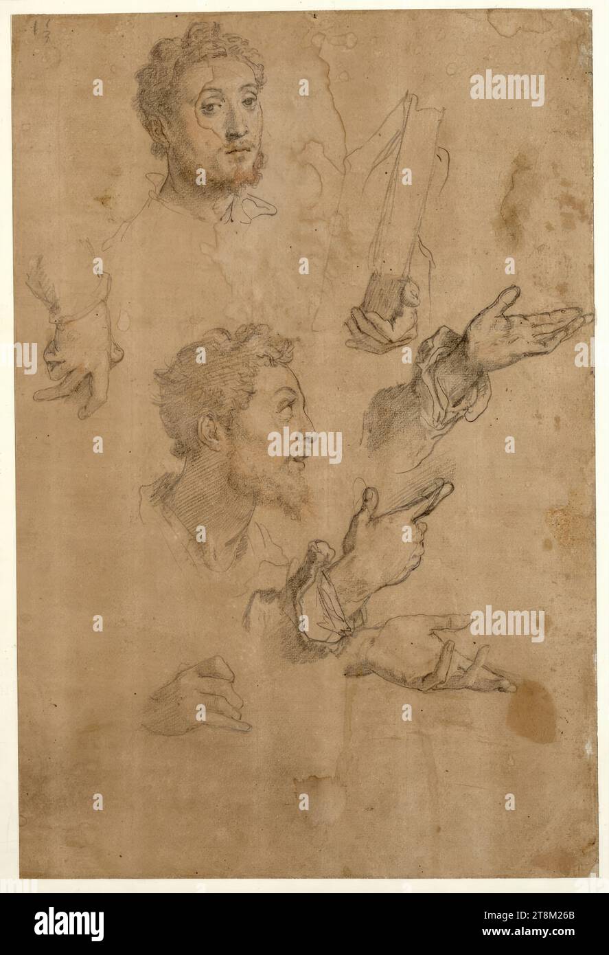 Two bearded heads in profile to the right and almost front; six studies of hands, Federico Zuccari (Sant' Angelo in Vado 1540/41 - 1609 Ancona), drawing, chalk; rubella; tan paper;, 40.2 x 27.3 cm Stock Photo