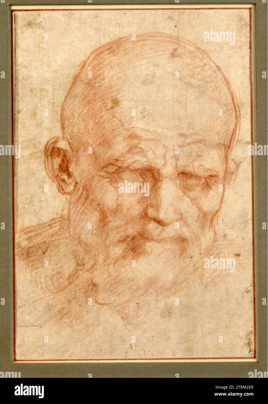 Head of a bald old man with a beard, Andrea del Sarto (Florence 1486 - 1530 Florence), around 1527-1529, drawing, red chalk, 19.3 x 13.2 cm, l.l. Duke Albert of Saxe-Teschen, r.r. in brown ink 'h Stock Photo