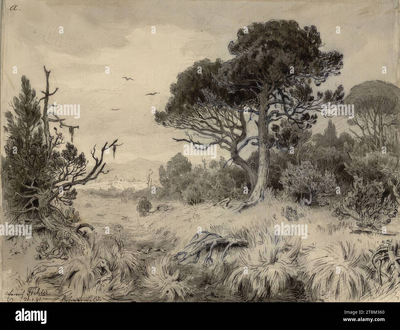 Pine from the Bohemian Forest, Hagengesellschaft, Emerich Fechter (Friedberg (today: Frýdek-Místek) 1854 - 1912 Vienna), 1890, drawing, pen, 15 x 19.5 cm Stock Photo