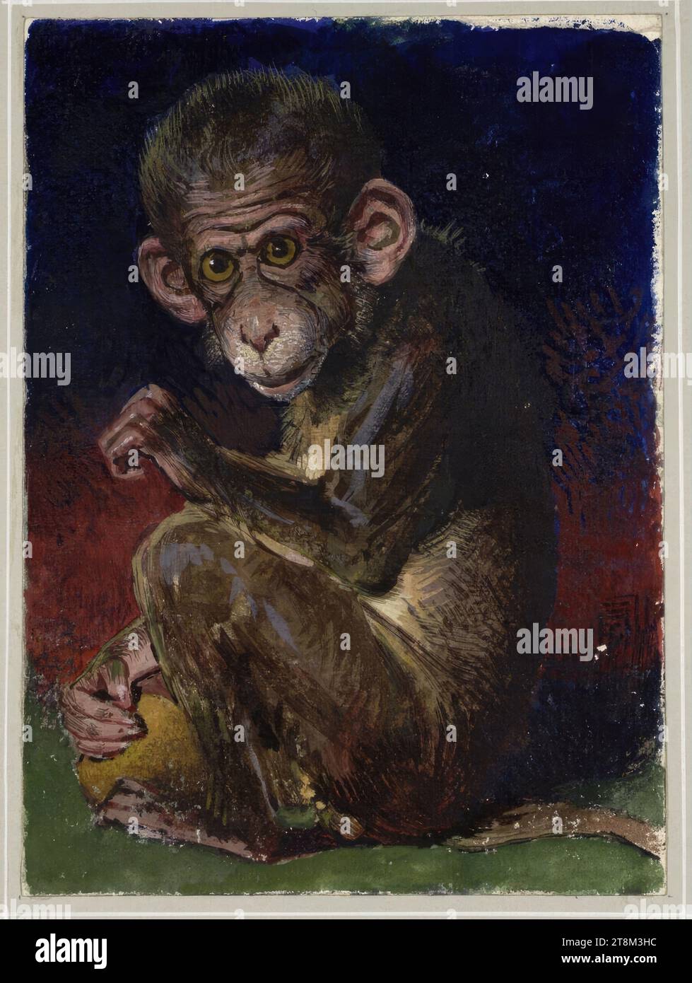 Monkey, Hagengesellschaft, Maximilian Lenz (Vienna 1860 - 1948 Vienna), drawing, watercolour, 24 x 17.5 cm Stock Photo