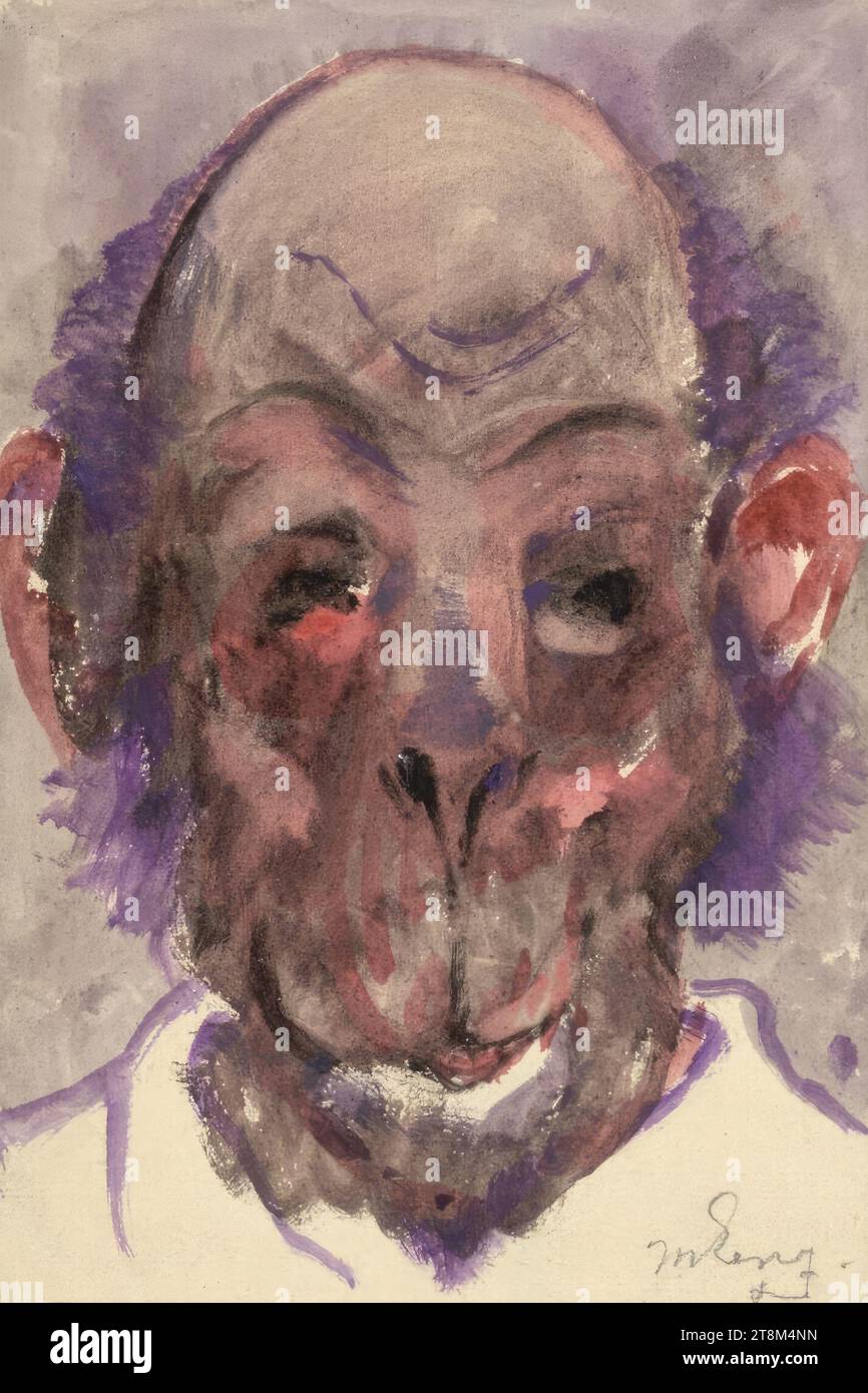 Head of a monkey, Hagengesellschaft, Maximilian Lenz (Vienna 1860 - 1948 Vienna), drawing, watercolour, 14.6 x 9.7 cm Stock Photo