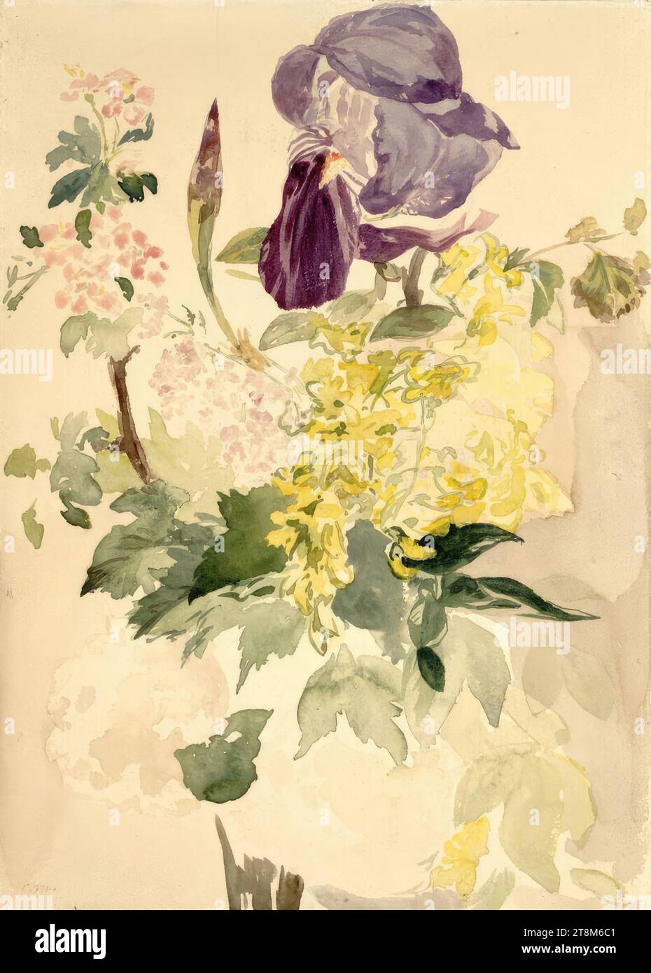 Flower piece with iris, laburnum and geranium, Edouard Manet (Paris 1832 - 1883 Paris), 1880, drawing, watercolour, 35.7 × 25.4 cm, l.l. Estate stamp Edouart Manet Stock Photo
