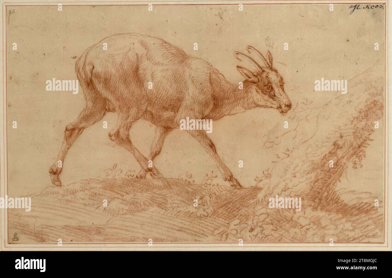 Äsender Gemsbock, Joh. Melchior Roos (Heidelberg 1663 - 1731 Frankfurt am Main), drawing, Rötel, 17.3 x 27.6 cm, l. u. Duke Albert von Saxe-Teschen, r.o. 'M. Roos Stock Photo