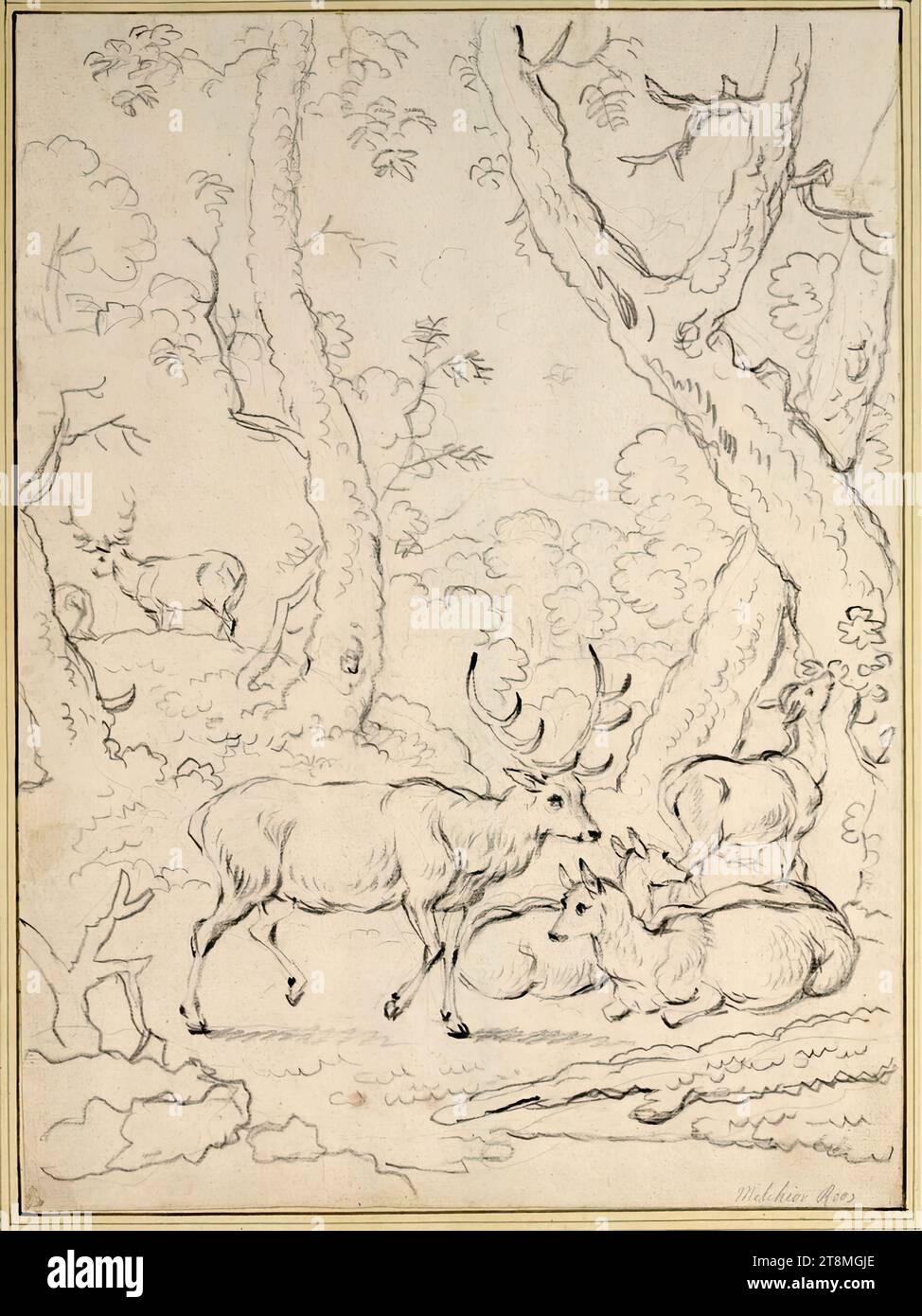 Herd Hochwild im Walde, Joh. Melchior Roos (Heidelberg 1663 - 1731 Frankfurt am Main), drawing, chalk, 34.3 x 25.4 cm, l. u. Duke Albert von Saxe-Teschen, r.u. 'Melchior Roos Stock Photo