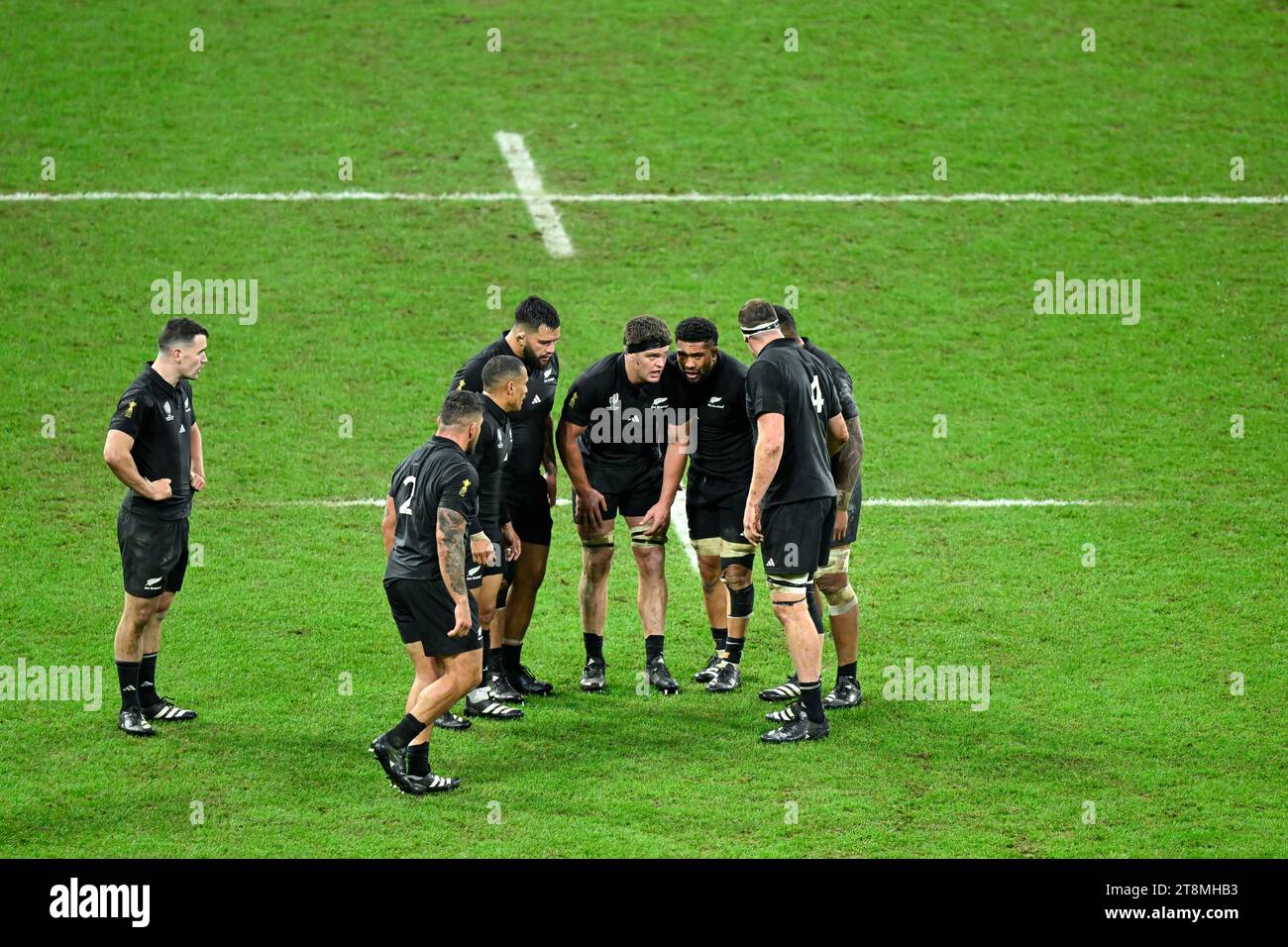 Springboks rugby team 2023 hi-res stock photography and images - Alamy