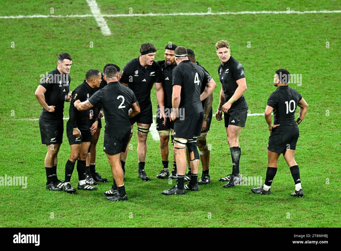 Springboks rugby team 2023 hi-res stock photography and images - Alamy