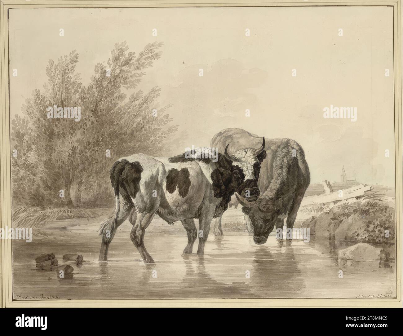 A Bull and a Cow in the Water, Johann Adam von Bartsch (Vienna 1757 - 1821 Vienna), Martin von Molitor (Vienna 1759 - 1812 Vienna), 1809, drawing, black stone chalk, sepia, 23.8 x 30.1 cm, r.u. Duke Albert von Saxe-Teschen, l.u. 'Theo. van Bergen p.'; r.u. 'A. Bartsch del. 1809 Stock Photo