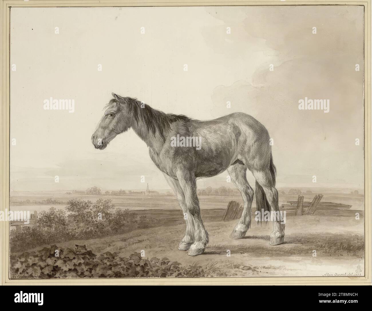 Adam bartsch del hires stock photography and images Alamy