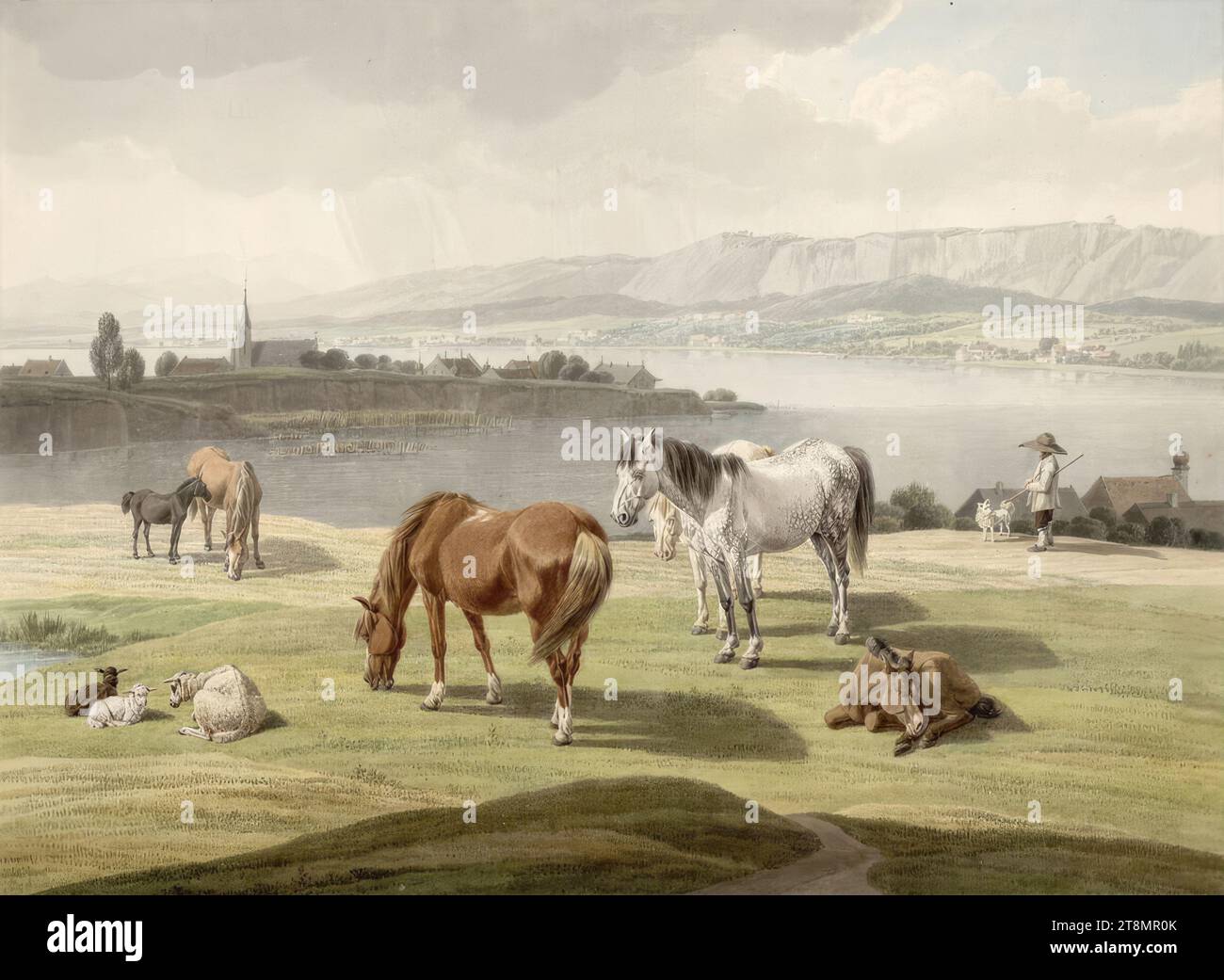 https://c8.alamy.com/comp/2T8MR0K/horses-and-sheep-grazing-on-the-shore-of-a-lake-wilhelm-alexander-wolfgang-von-kobell-mannheim-1766-1855-munich-around-1813-drawing-watercolour-over-pencil-marks-black-framing-line-355-x-485-cm-ll-duke-albert-of-saxe-teschen-2T8MR0K.jpg