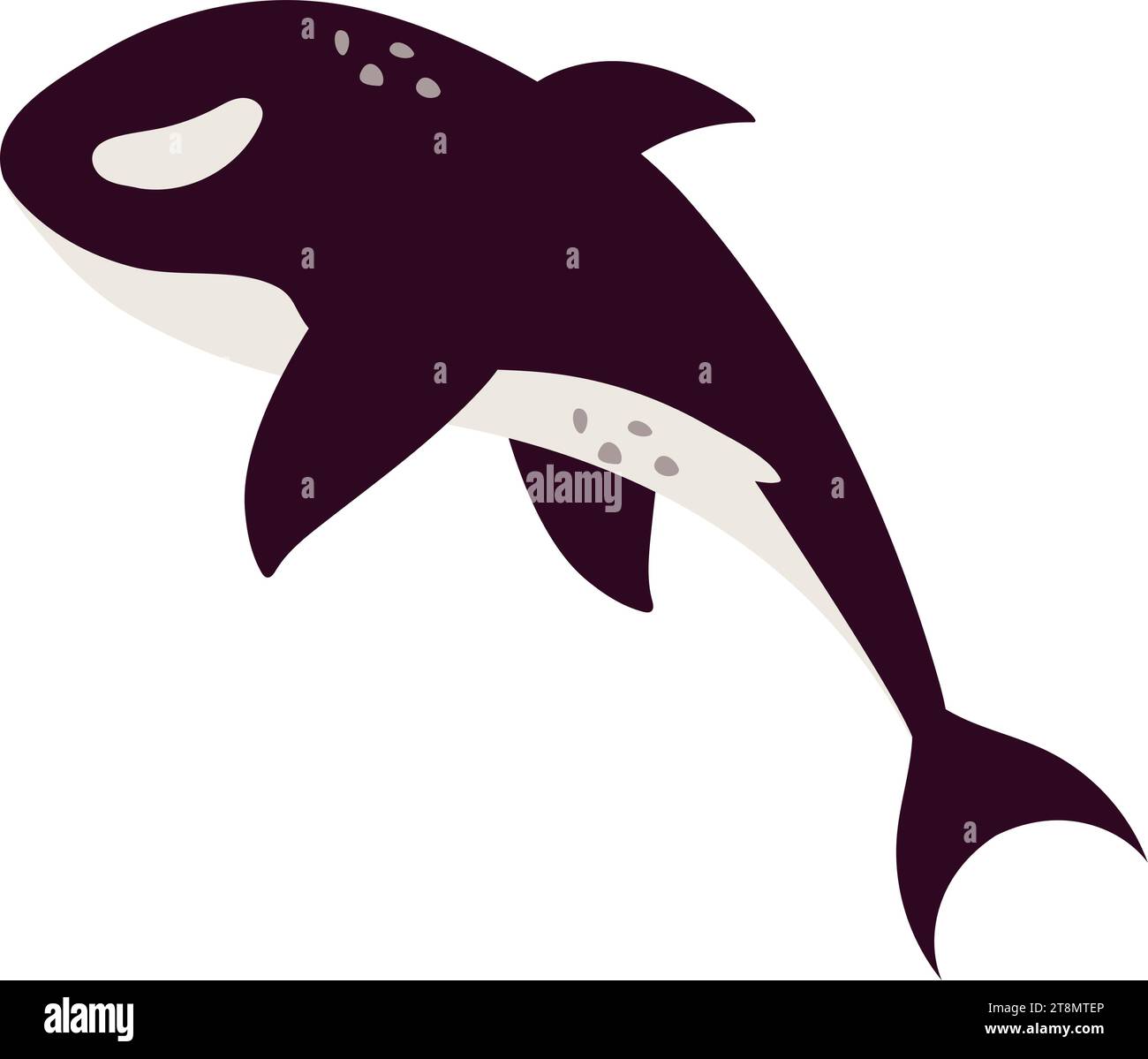 arctic animal whale Stock Vector Image & Art - Alamy