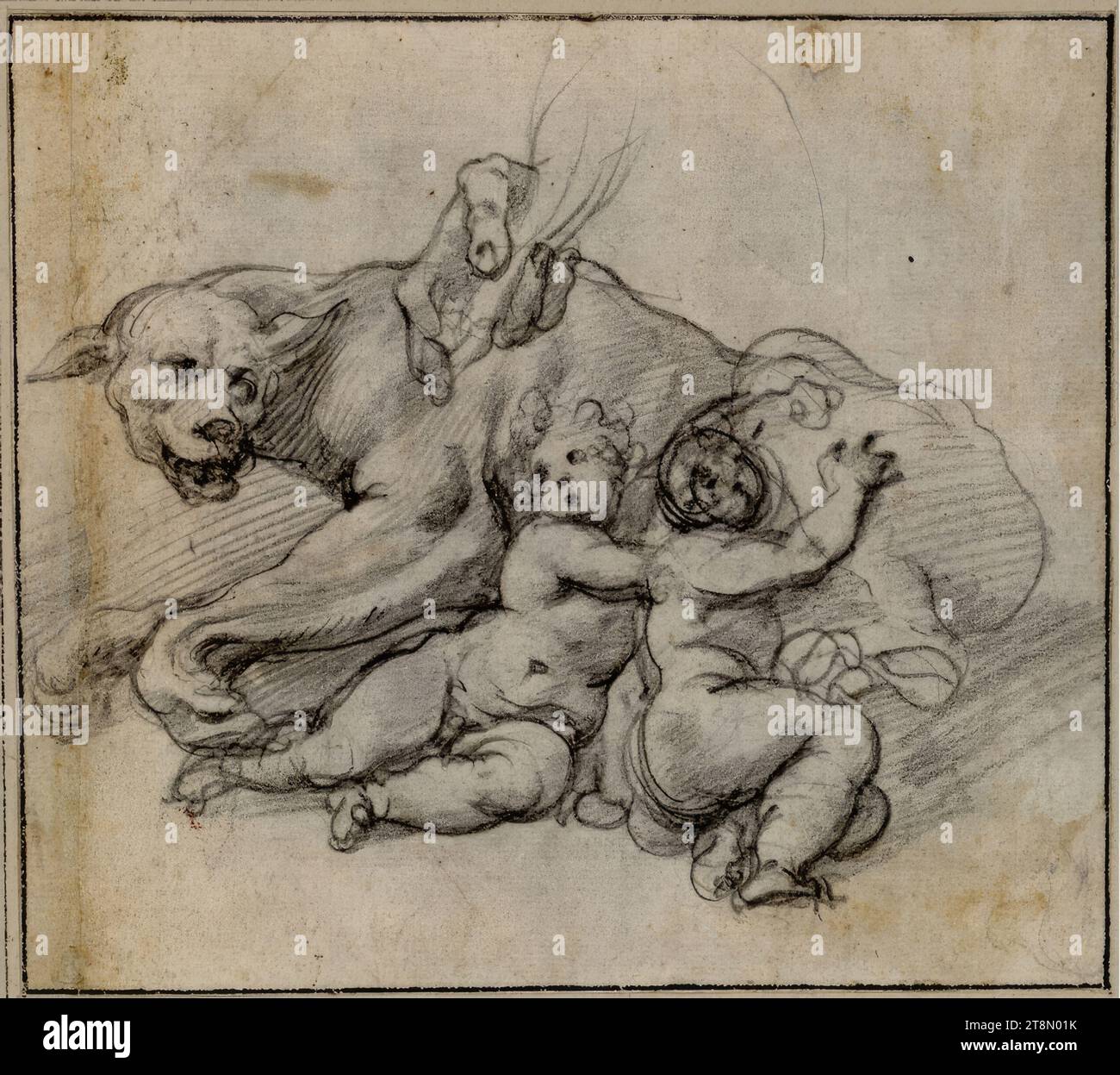 The Roman she-wolf with Romulus and Remus. (One boy is looking to the left, the other is drinking; a hand can be seen reaching over the she-wolf's back), Giuseppe Cesari called Cavaliere d' Arpino (Arpino 1568 - 1640 Rome), drawing, chalk, 15.7 x 17 .2 cm, l.l. Duke Albert of Saxe-Teschen Stock Photo