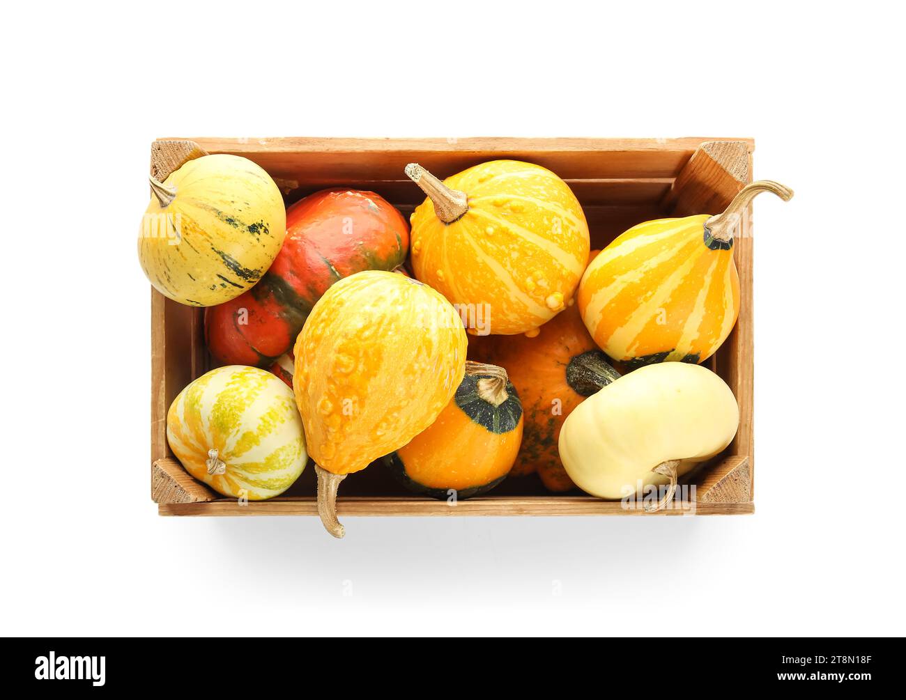 Wooden box with different fresh pumpkins on white background Stock ...