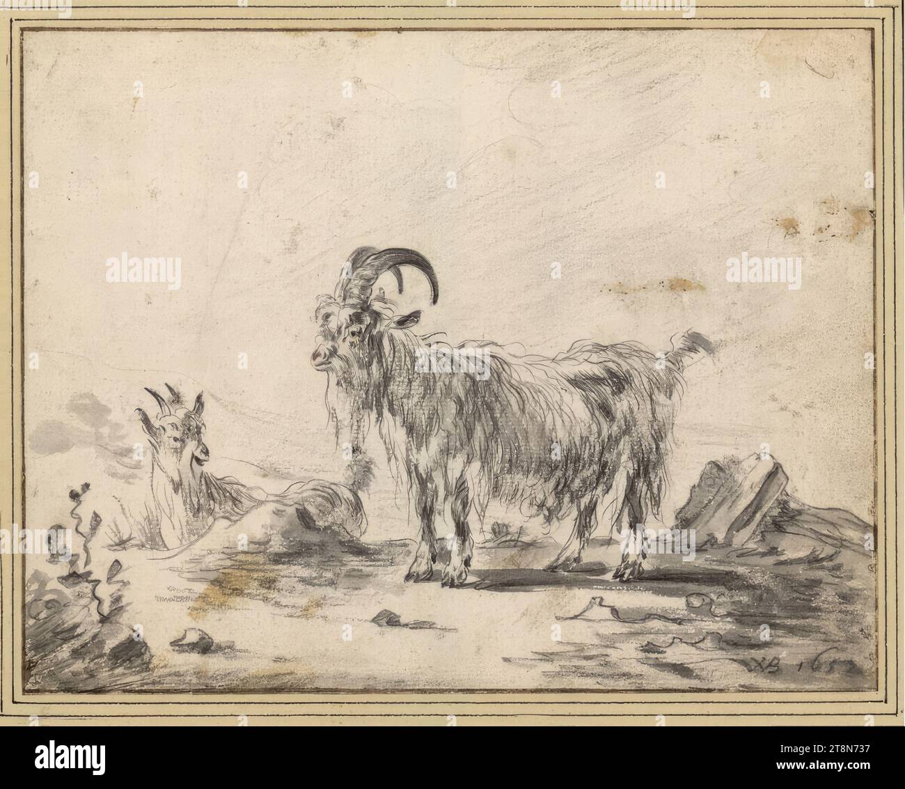 Billy Goat and Reclining Goat, Willem von Bemmel (Utrecht 1630–1708 Nuremberg), 1652, drawing, black chalk, brush and gray; Stains and soiling in several places., 15.2 x 19.5 cm, l. and Duke Albert of Saxe-Teschen Stock Photo
