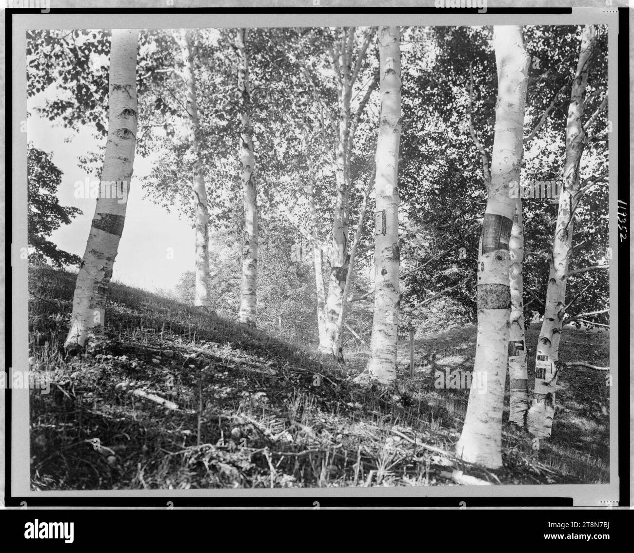 Vermont-Early morn Stock Photo