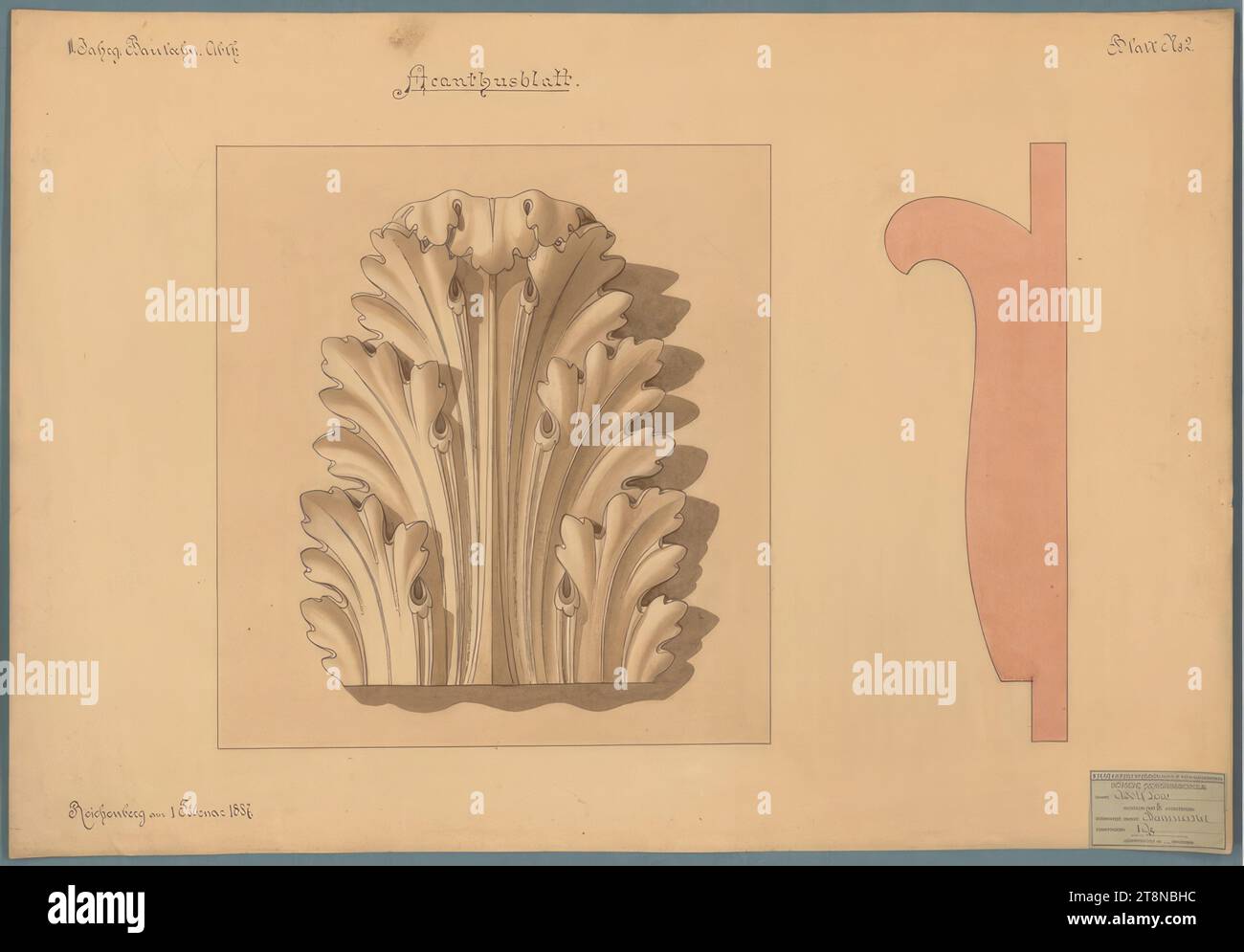Works from Loos' school days, Acanthus leaf, February 1, 1887, 1887 ...