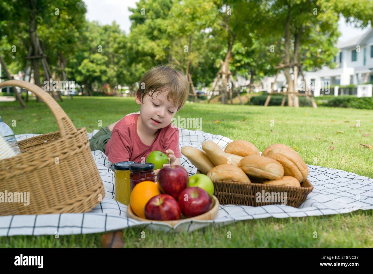 Young boy sit on a picnic blanket  with a basket, colorful fruit and freshly-baked bread. Enjoying outdoor picnic in sunny park Stock Photo