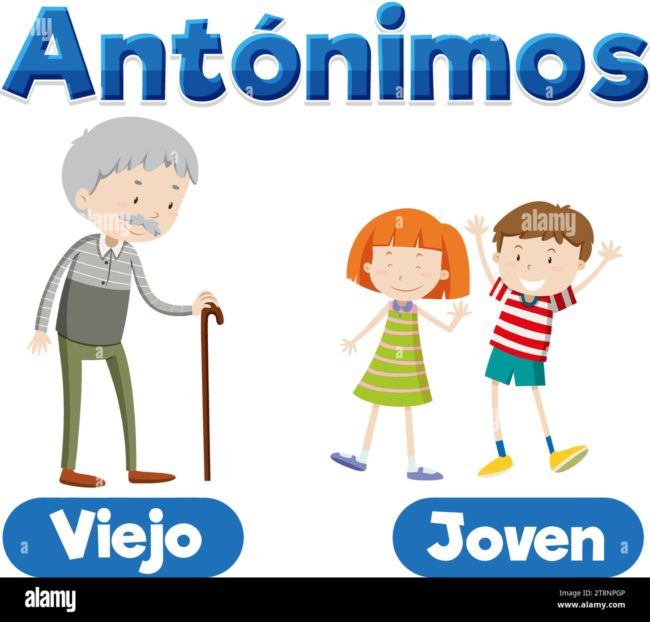 Illustrated picture word card in Spanish for teaching antonyms Old and Young Stock Vector