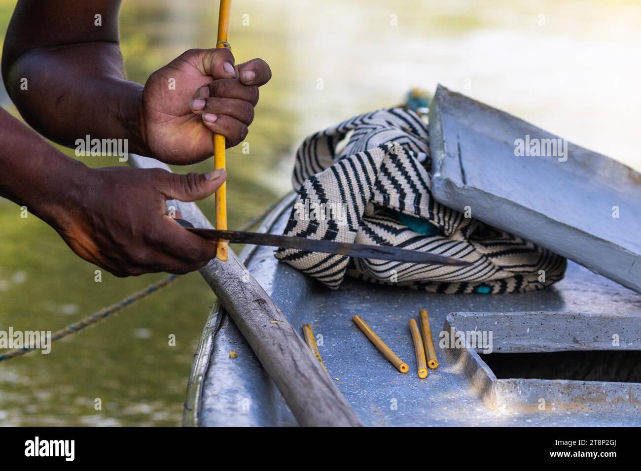 Bamboo straw preparation, machete, El Valle, Colombia Stock Photo Alamy