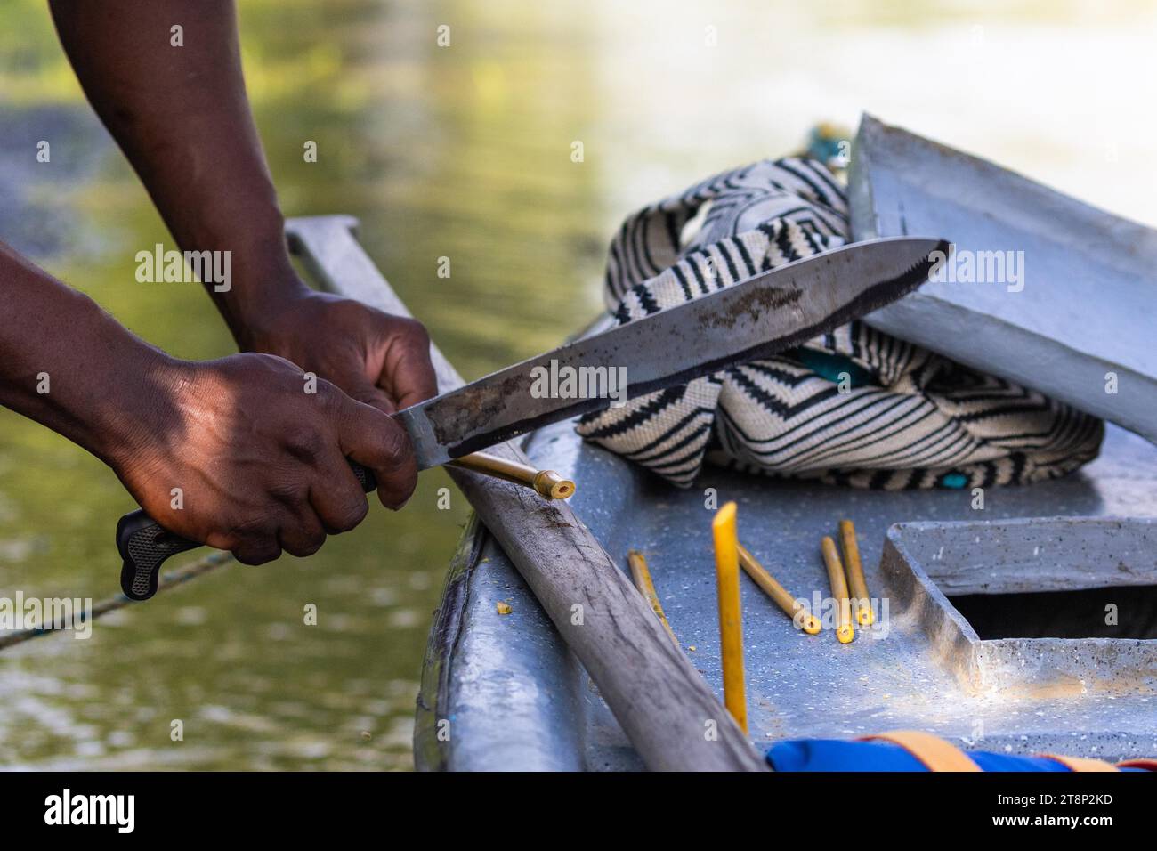Bamboo straw preparation, machete, El Valle, Colombia Stock Photo Alamy