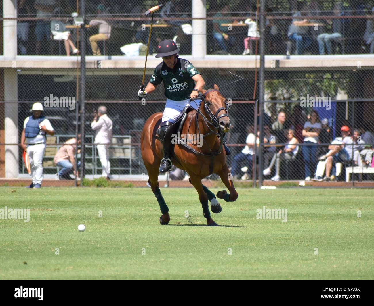 Argentine open polo hires stock photography and images Alamy