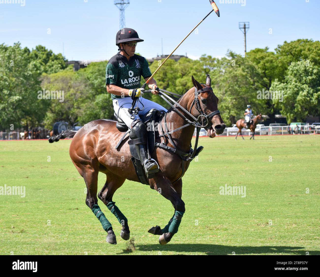 Francisco Elizalde from Team La Hache La Roca at the 130th Argentine Open Polo Championship