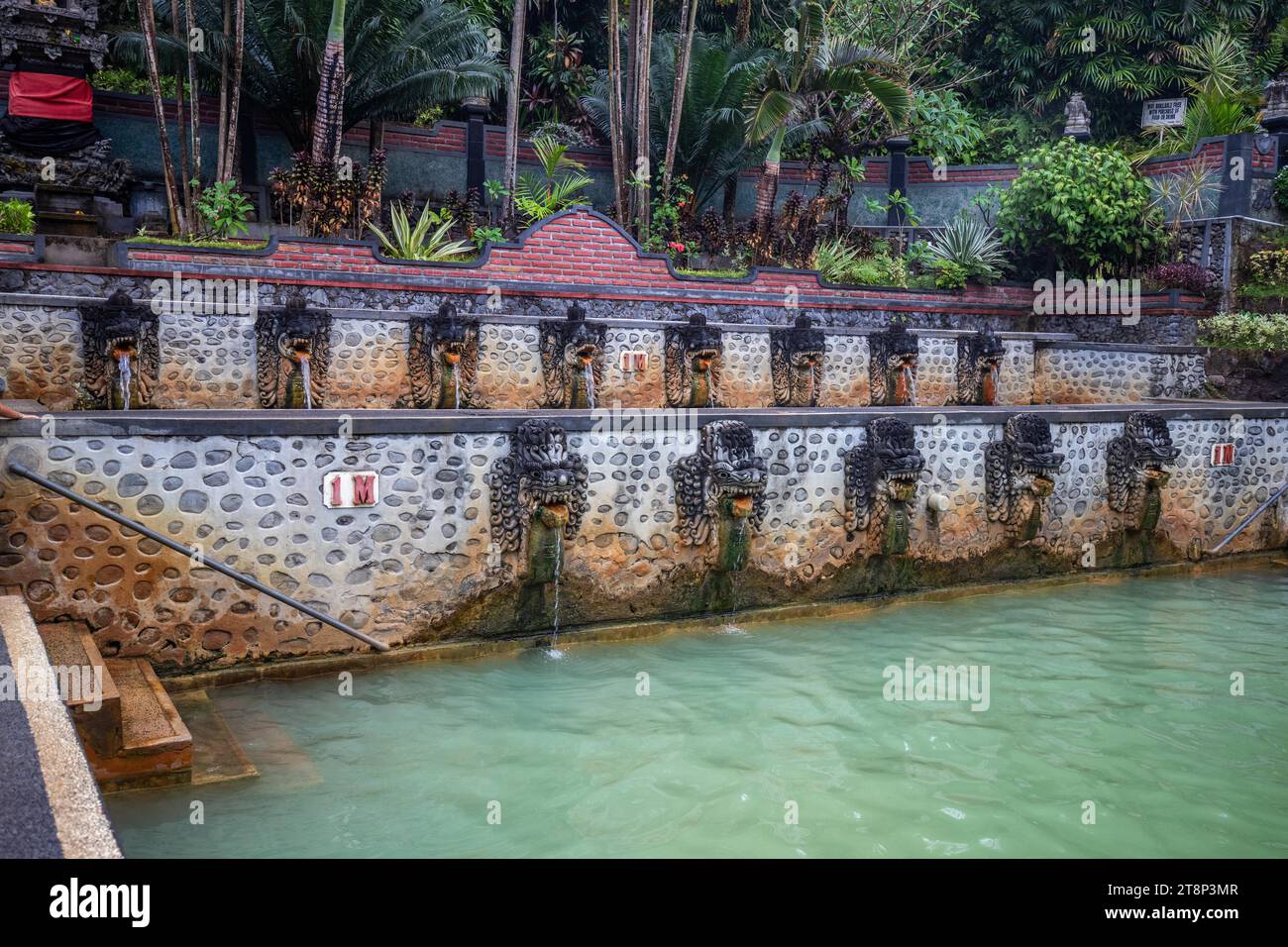 Hot springs, thermal bath in the tropical jungle. Ritual sulphur pool for swimming. Banjar, Bali Stock Photo