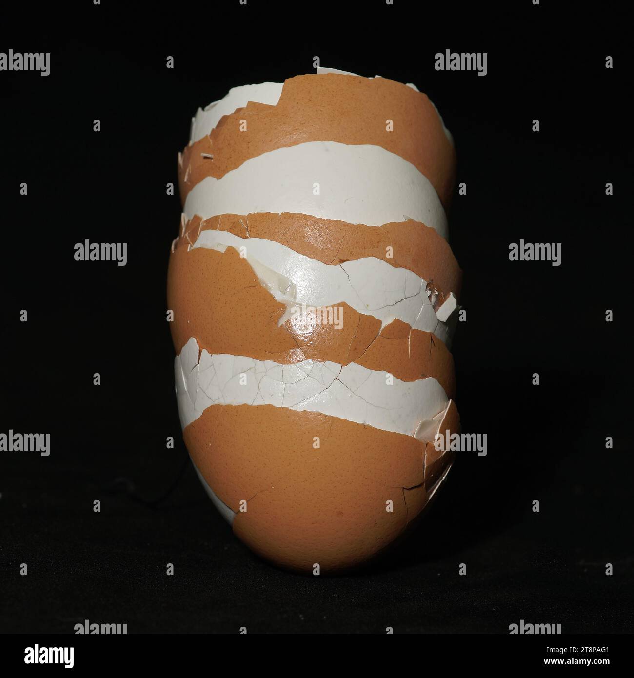 brown and white eggshells on a stack Stock Photo
