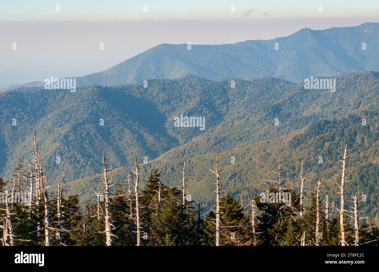 Great Smoky Mountains National Park in North Carolina Stock Photo