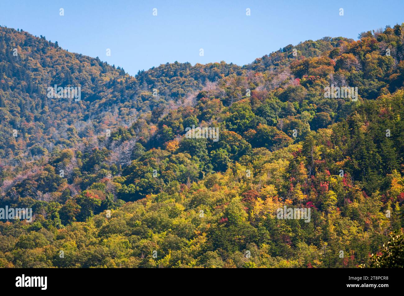 Great Smoky Mountains National Park in North Carolina Stock Photo